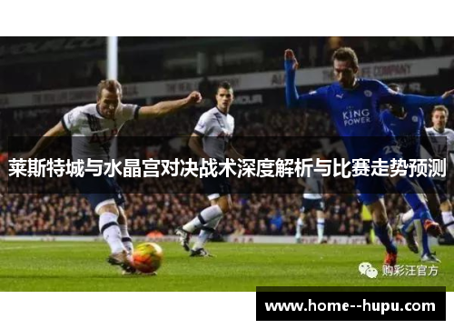 莱斯特城与水晶宫对决战术深度解析与比赛走势预测